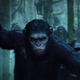 Illustration for article titled The First emDawn of the Planet of the Apes/em Clip Gave Us Chills